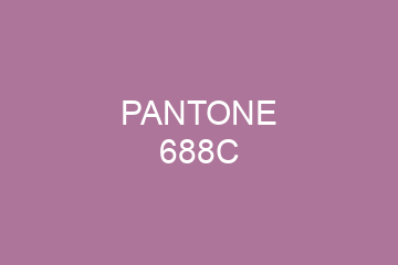 Peinture Pantone 688C