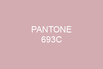 Peinture Pantone 693C