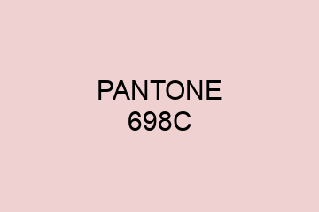 Peinture Pantone 698C