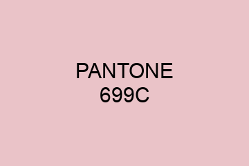 Peinture Pantone 699C