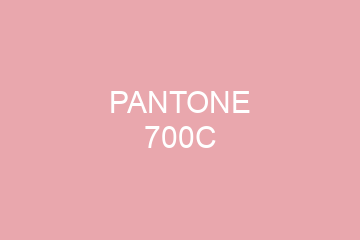 Peinture Pantone 700C