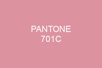 Peinture Pantone 701C