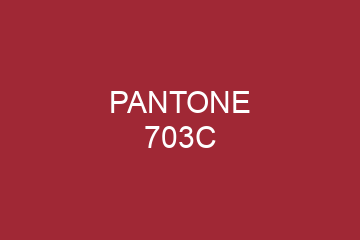 Peinture Pantone 703C