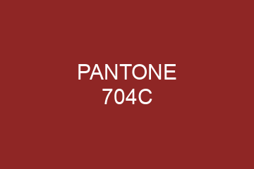 Peinture Pantone 704C