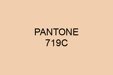 Peinture Pantone 719C