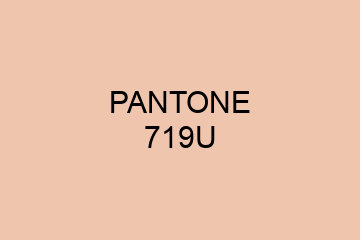 Peinture Pantone 719U