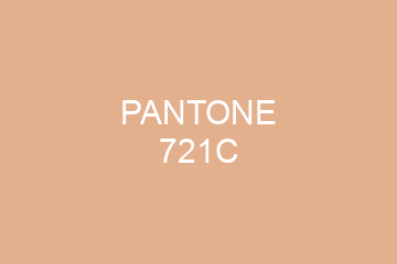 Peinture Pantone 721C