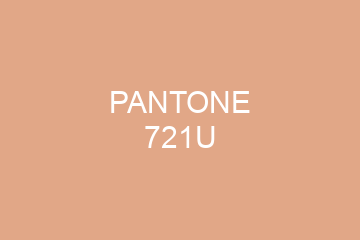 Peinture Pantone 721U