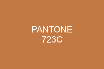 Peinture Pantone 723C