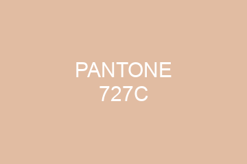 Peinture Pantone 727C