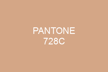 Peinture Pantone 728C