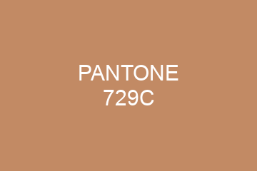 Peinture Pantone 729C