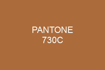 Peinture Pantone 730C