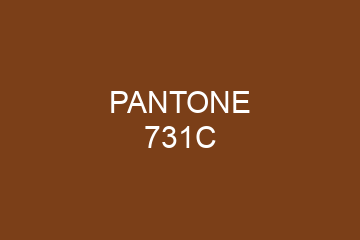 Peinture Pantone 731C