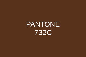 Peinture Pantone 732C