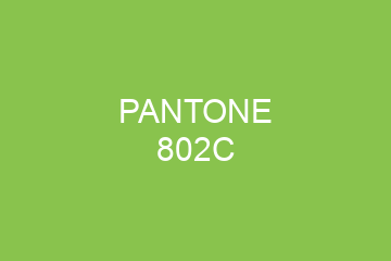 Peinture Pantone 802C