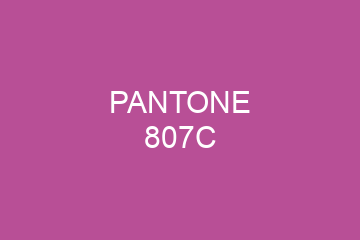 Peinture Pantone 807C