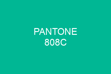 Peinture Pantone 808C