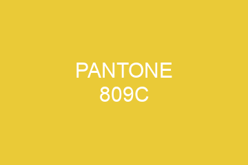 Peinture Pantone 809C