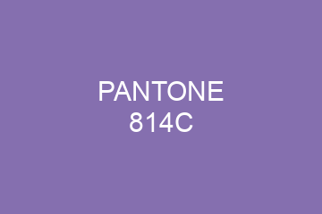 Peinture Pantone 814C