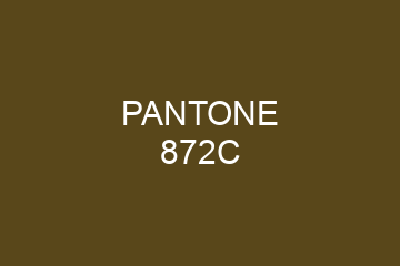 Peinture Pantone 872C