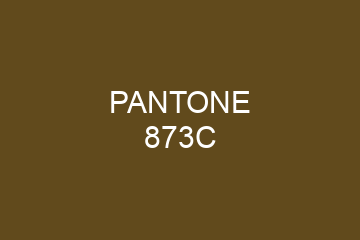 Peinture Pantone 873C