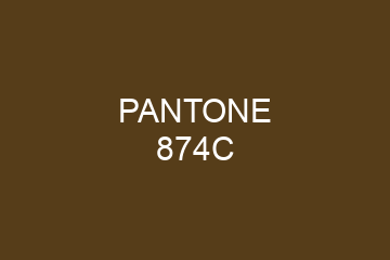 Peinture Pantone 874C