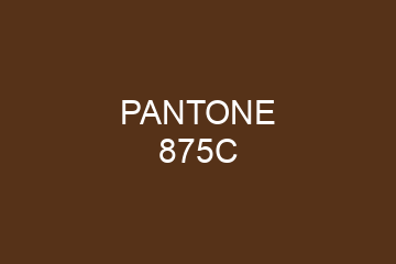 Peinture Pantone 875C