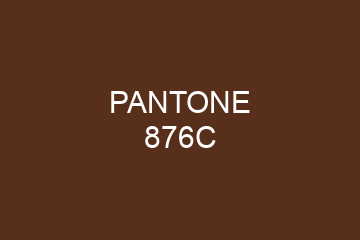 Peinture Pantone 876C