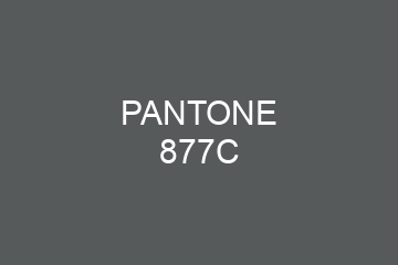 Peinture Pantone 877C