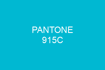 Peinture Pantone 915C