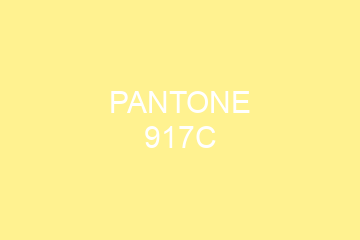 Peinture Pantone 917C