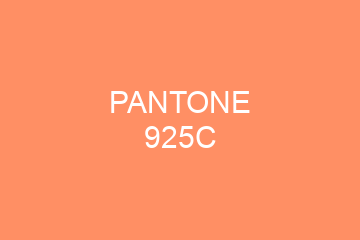 Peinture Pantone 925C