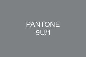 Peinture Pantone 9U/1