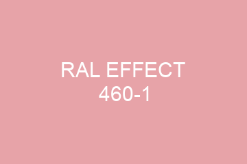 Peinture RAL 460-1